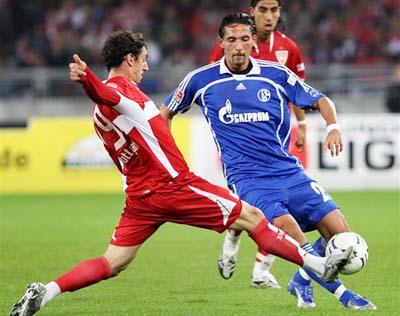 极大地提高 极大地提高