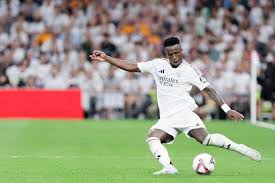 作为案例参 作为案例参